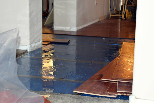 Professional Water Damage Restoration technician working in Rowley, MA